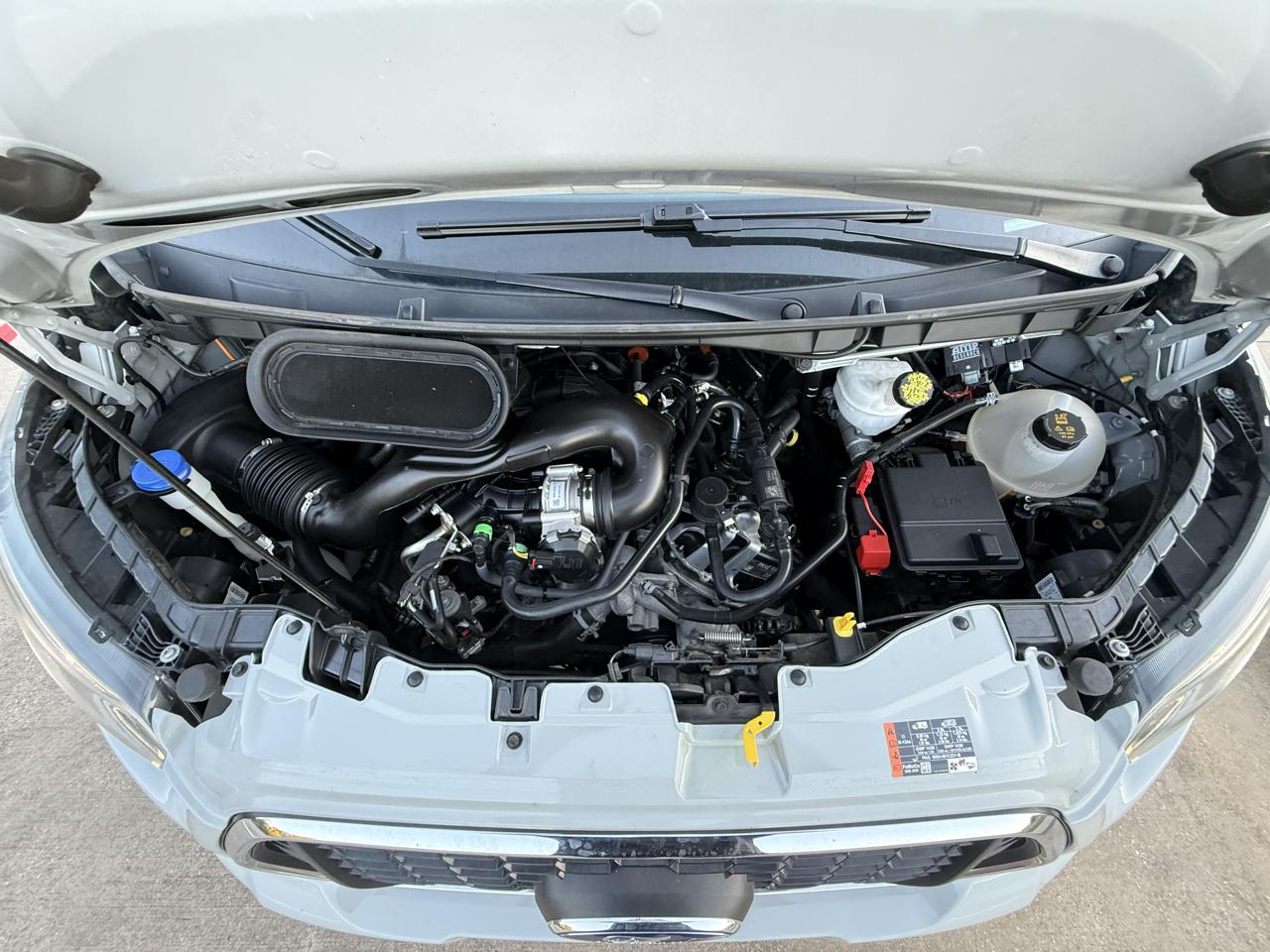Ford Transit  2024