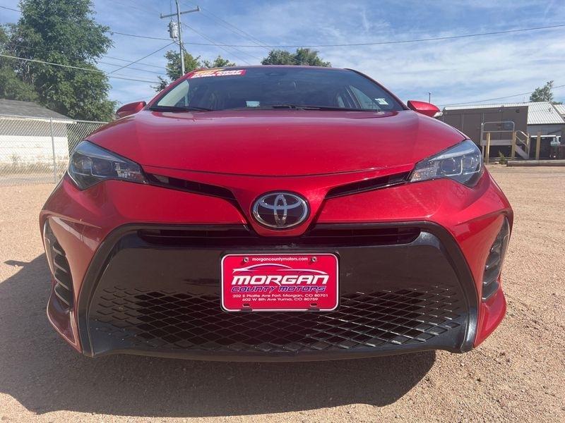 Toyota Corolla XLE CVT (Natl) 2019