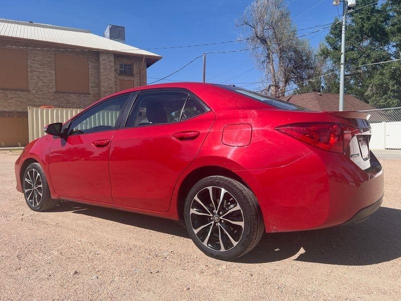 Toyota Corolla XLE CVT (Natl) 2019