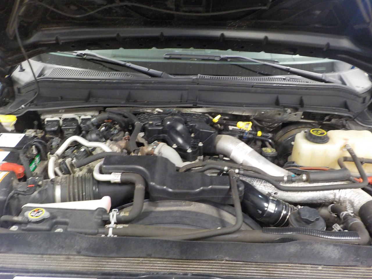 Ford Super Duty F-250 SRW 4WD Crew Cab 172" Platinum 2016