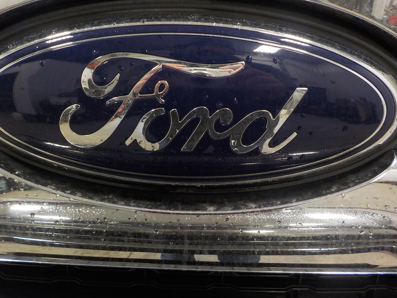 Ford Super Duty F-250 SRW 4WD Crew Cab 172" Platinum 2016