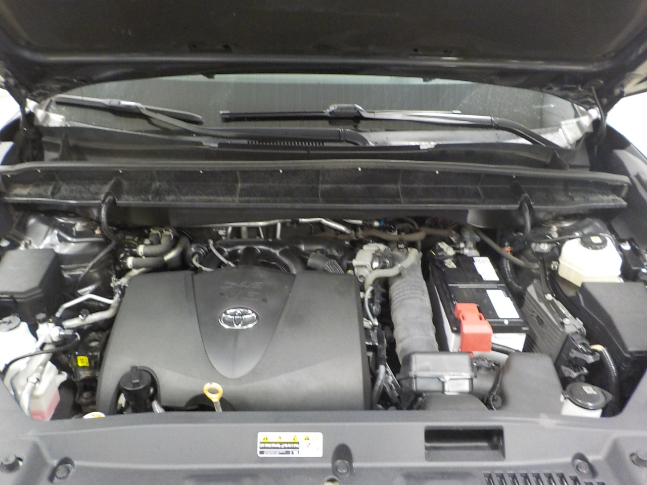 Toyota Highlander XLE AWD (Natl) 2022