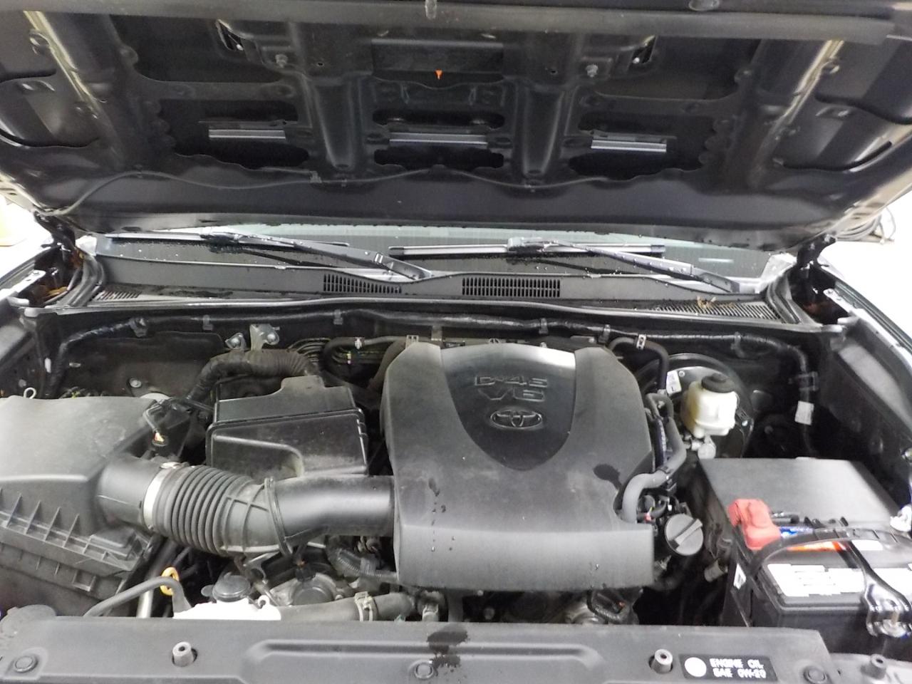 Toyota Tacoma 4WD TRD Sport Double Cab 5' Bed V6 AT (Natl) 2019