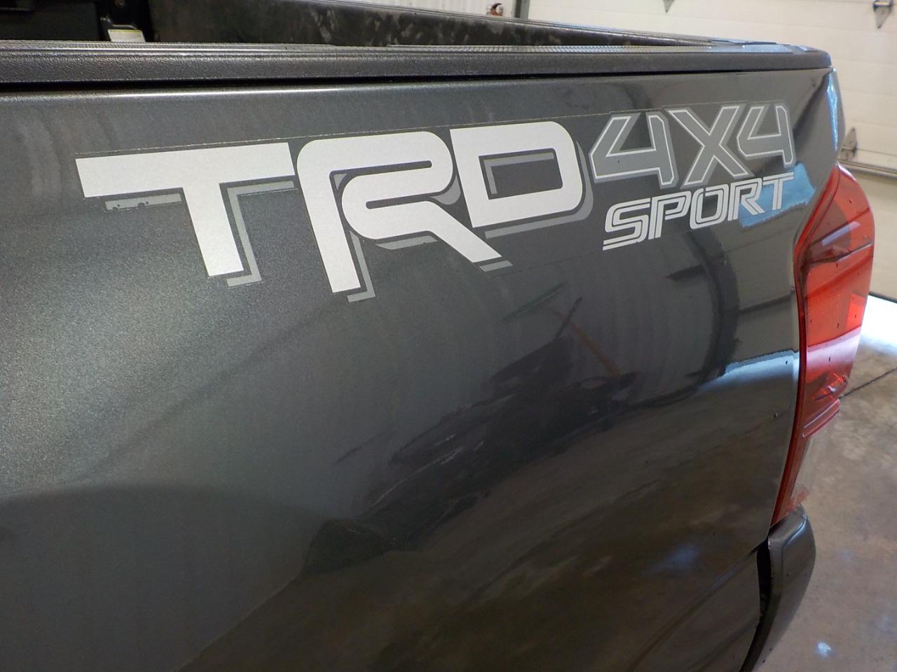 Toyota Tacoma 4WD TRD Sport Double Cab 5' Bed V6 AT (Natl) 2019