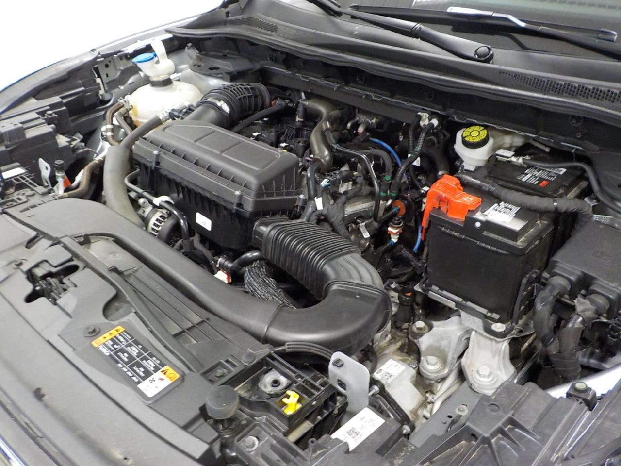 Ford Escape ST-Line AWD 2024