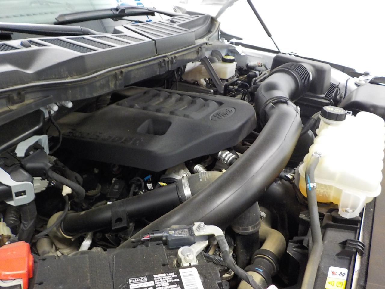 Ford F-150 XLT 4WD SuperCrew 5.5' Box 2023