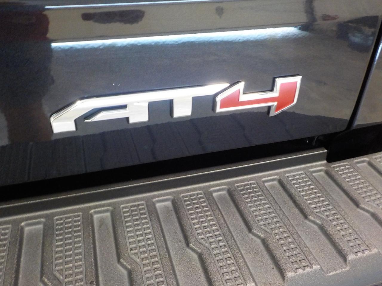 GMC Sierra 1500 4WD Crew Cab 147" AT4 2022