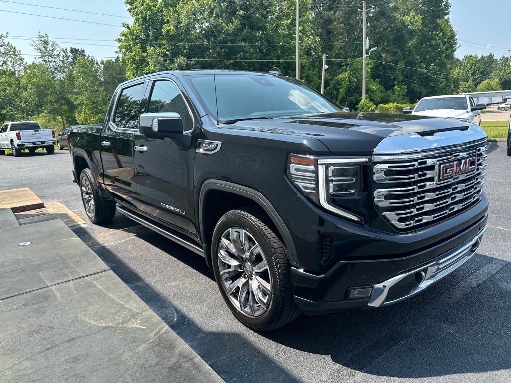 2024 Gmc Sierra 1500 Denali photo 3