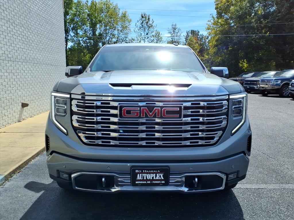 2024 Gmc Sierra 1500 Denali photo 2