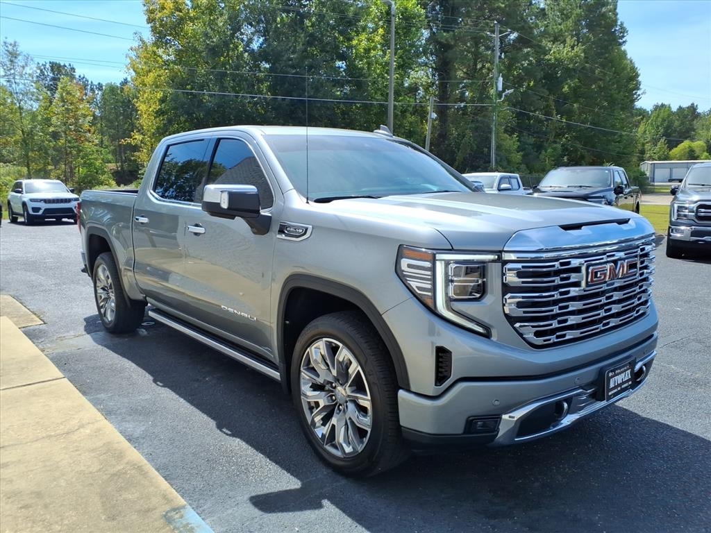 2024 Gmc Sierra 1500 Denali photo 3