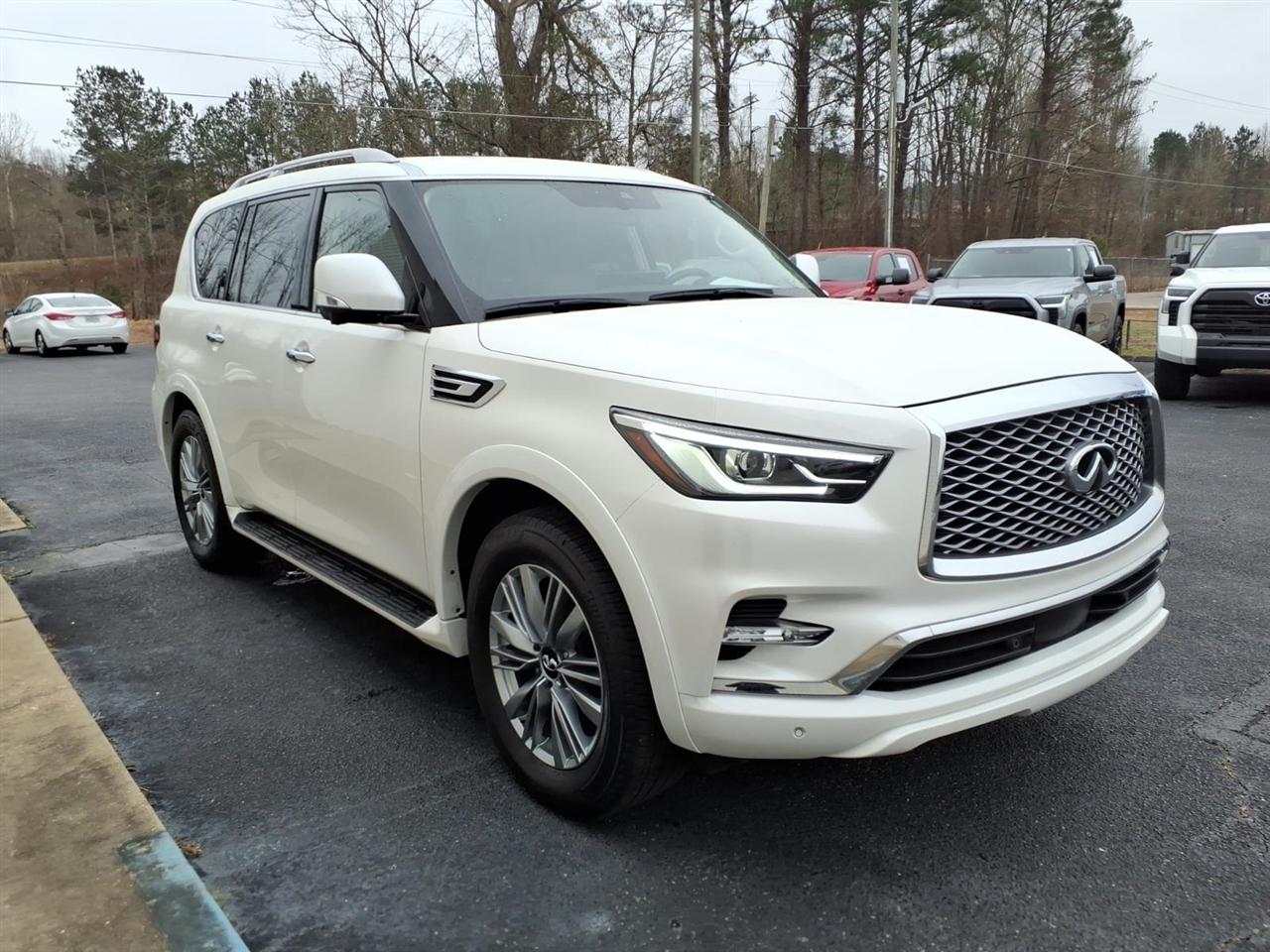 Infiniti QX80  2024