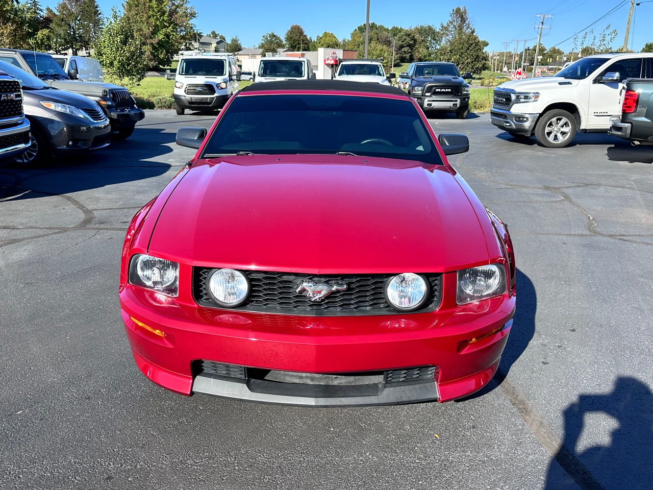 Ford Mustang  2008 Ford Mustang  2008