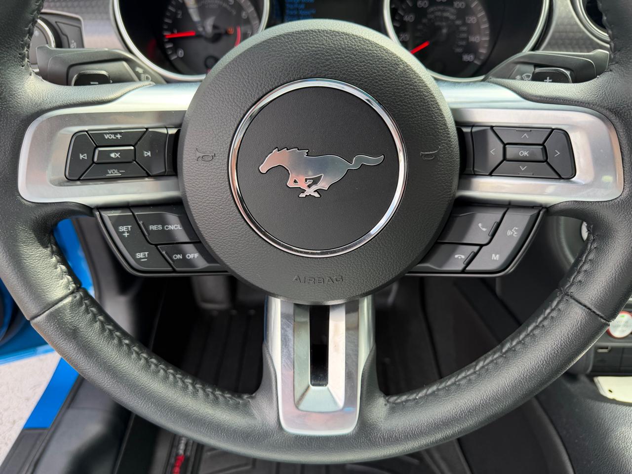 Ford Mustang EcoBoost Fastback 2019