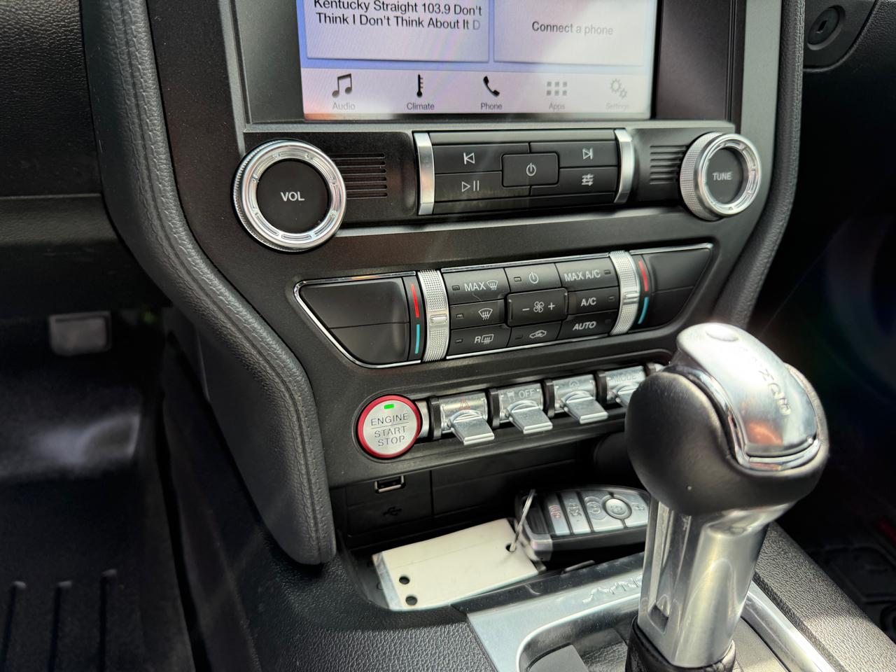 Ford Mustang EcoBoost Fastback 2019