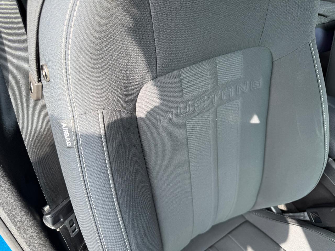 Ford Mustang EcoBoost Fastback 2019