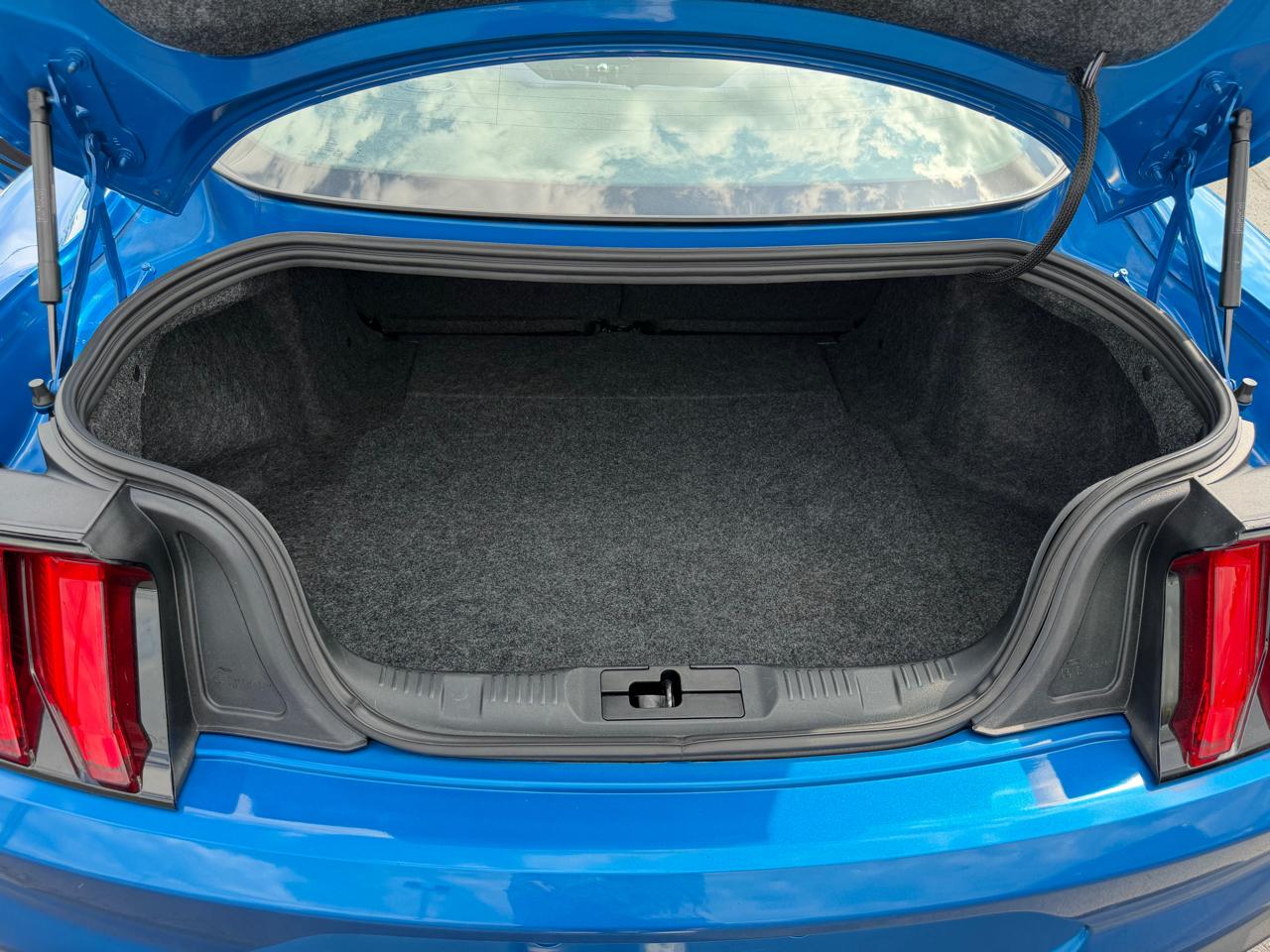 Ford Mustang EcoBoost Fastback 2019