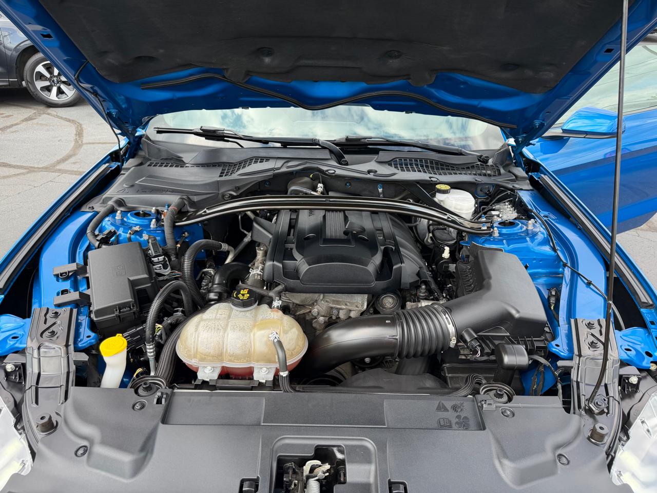 Ford Mustang EcoBoost Fastback 2019