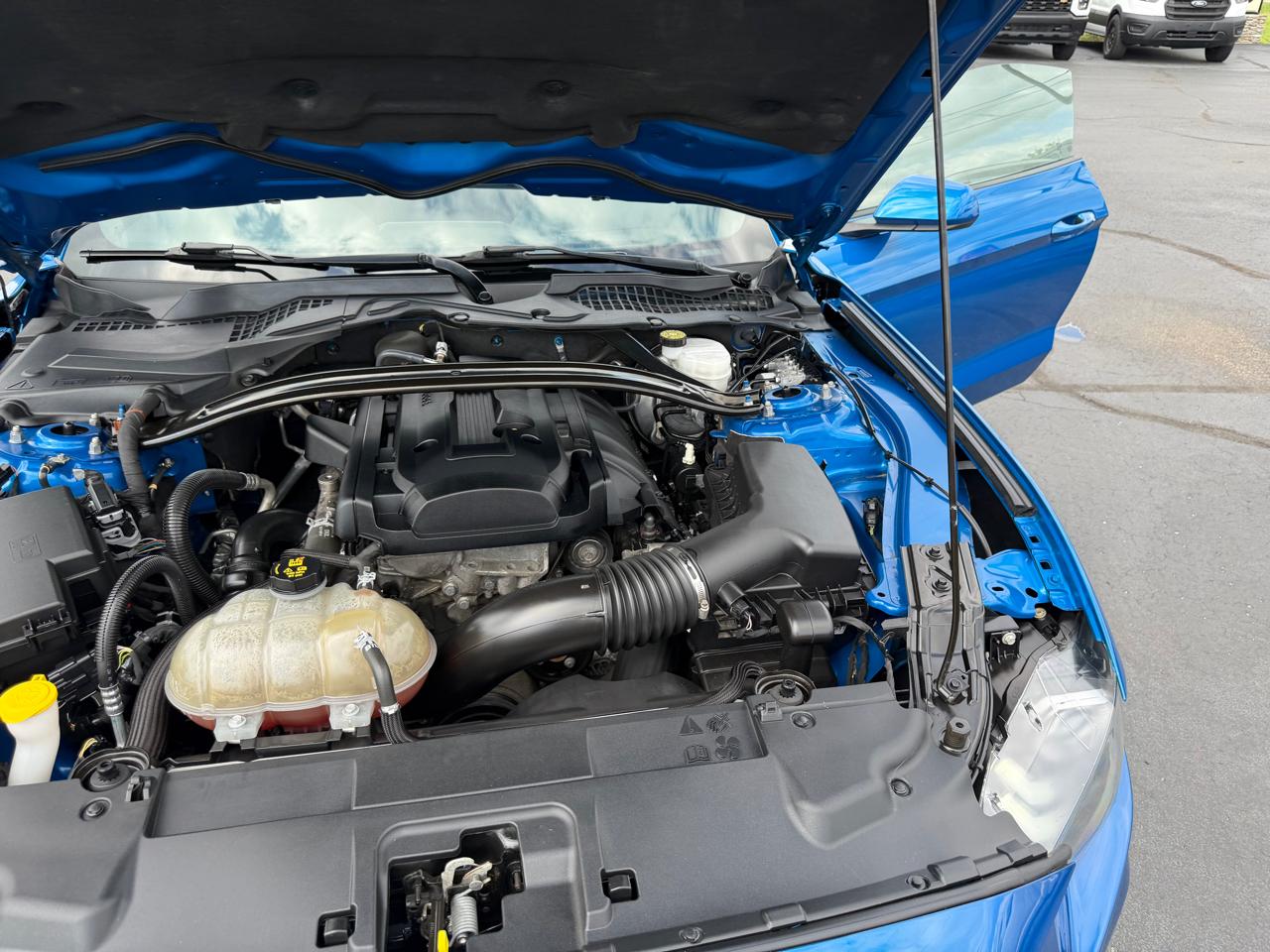 Ford Mustang EcoBoost Fastback 2019