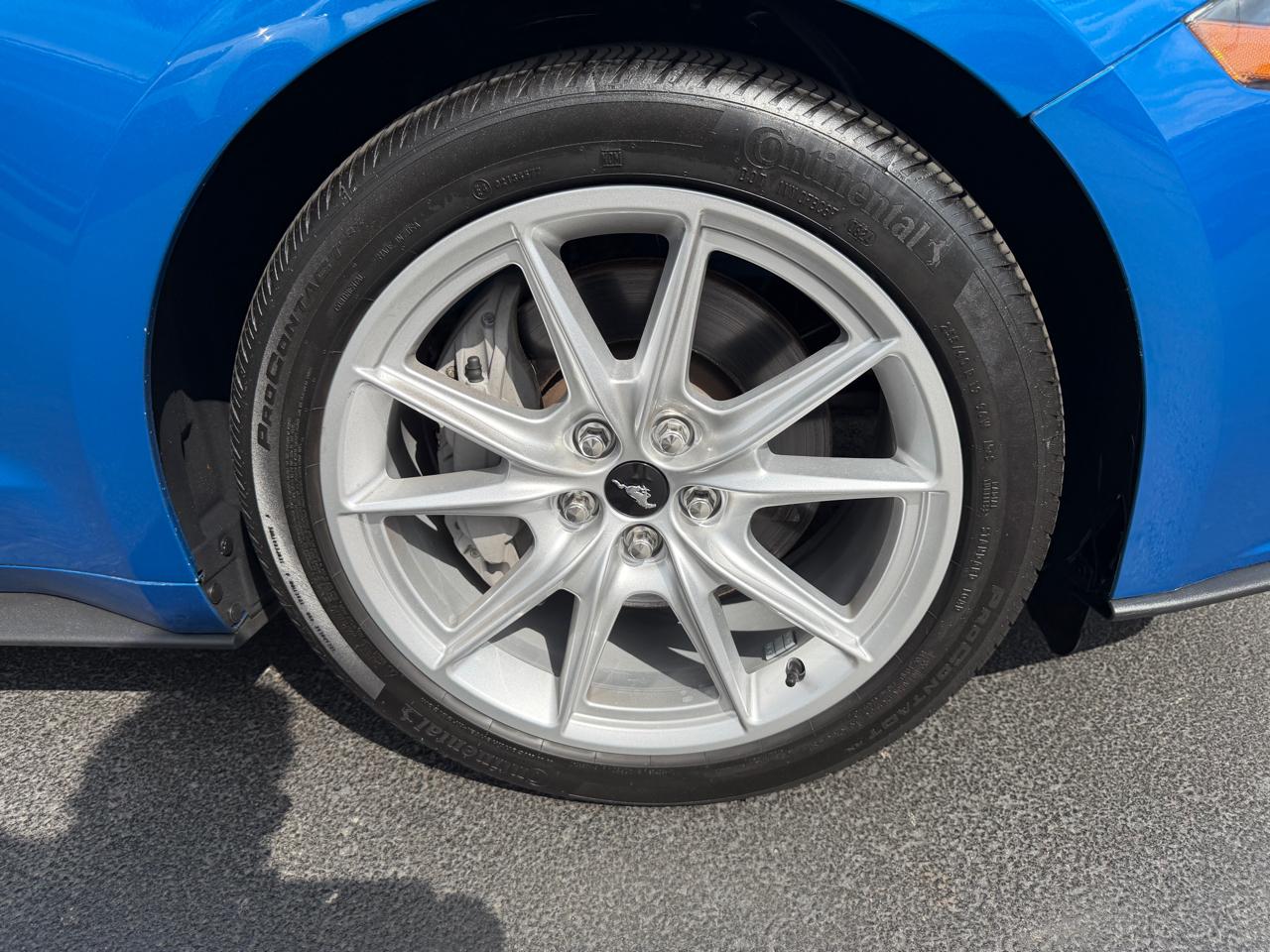 Ford Mustang EcoBoost Fastback 2019