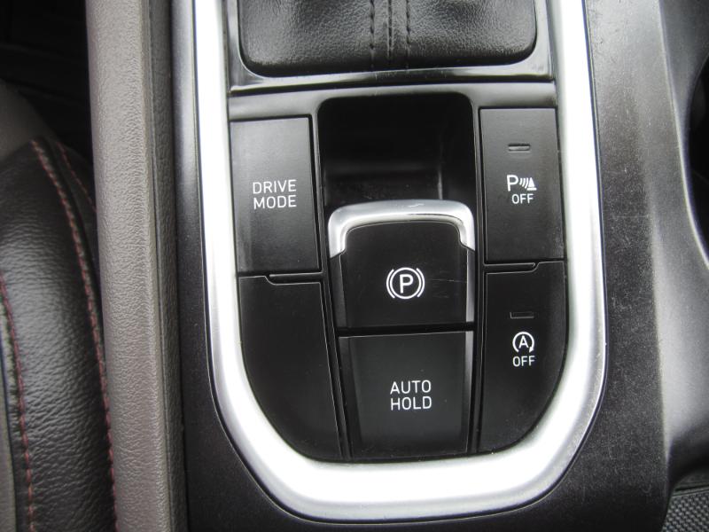 Hyundai Santa Fe SEL 2.0T w/Convenience and Premium Packages 2020