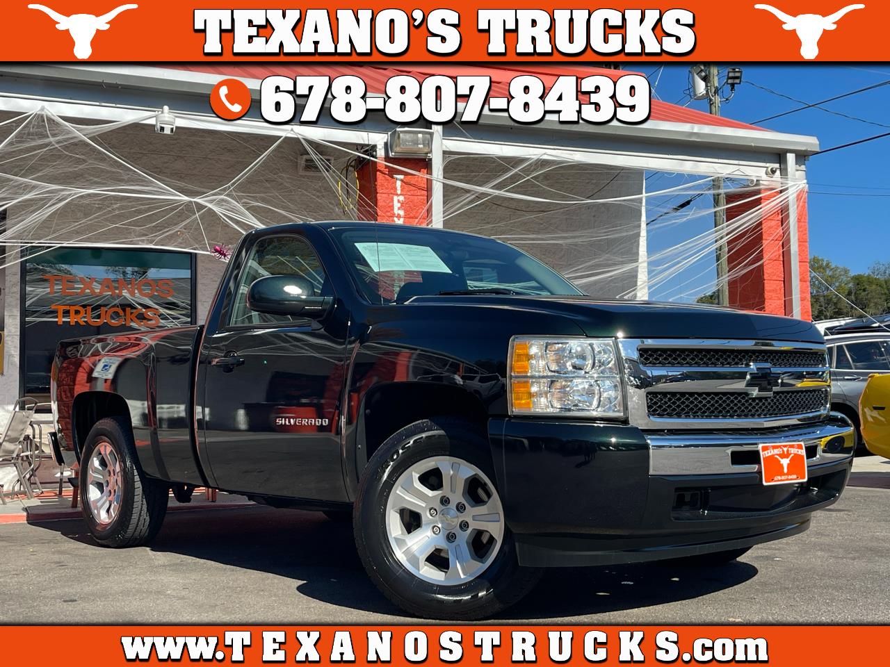 2010 Chevrolet Silverado 1500 2WD Reg Cab 119.0" Work Truck