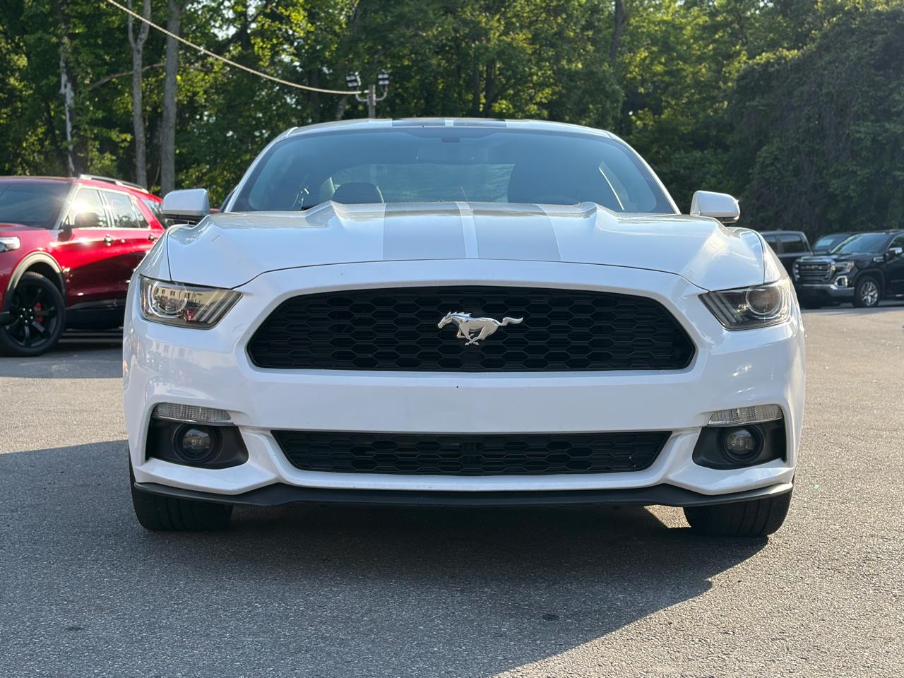 Ford Mustang EcoBoost Fastback 2017