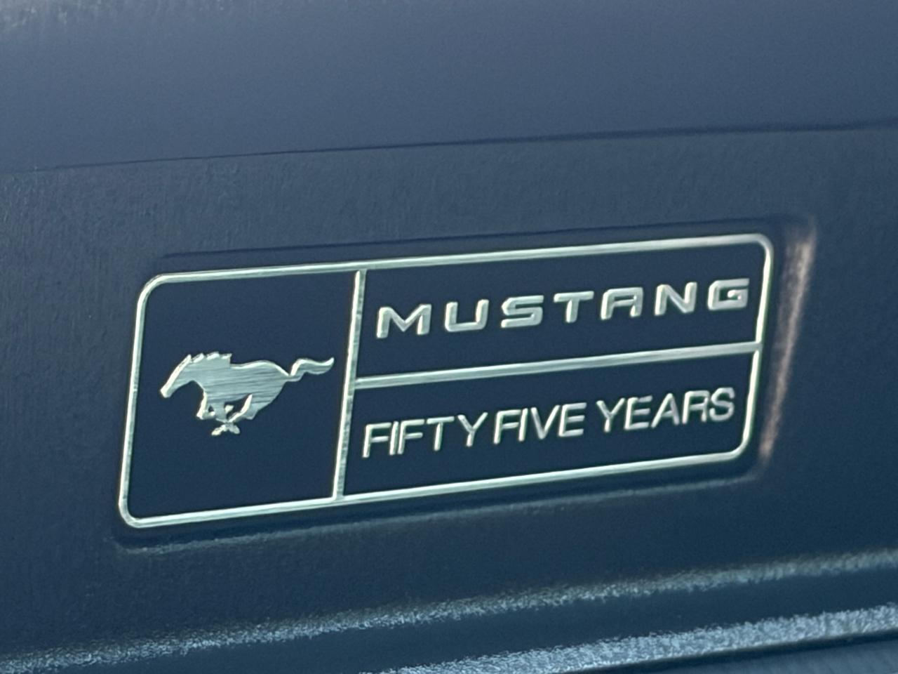 Ford Mustang EcoBoost Fastback 2020