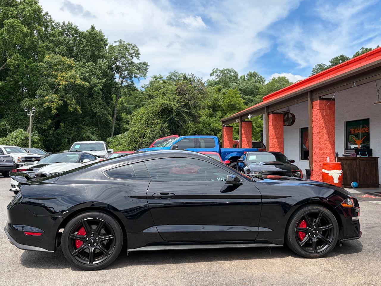 Ford Mustang EcoBoost Fastback 2018