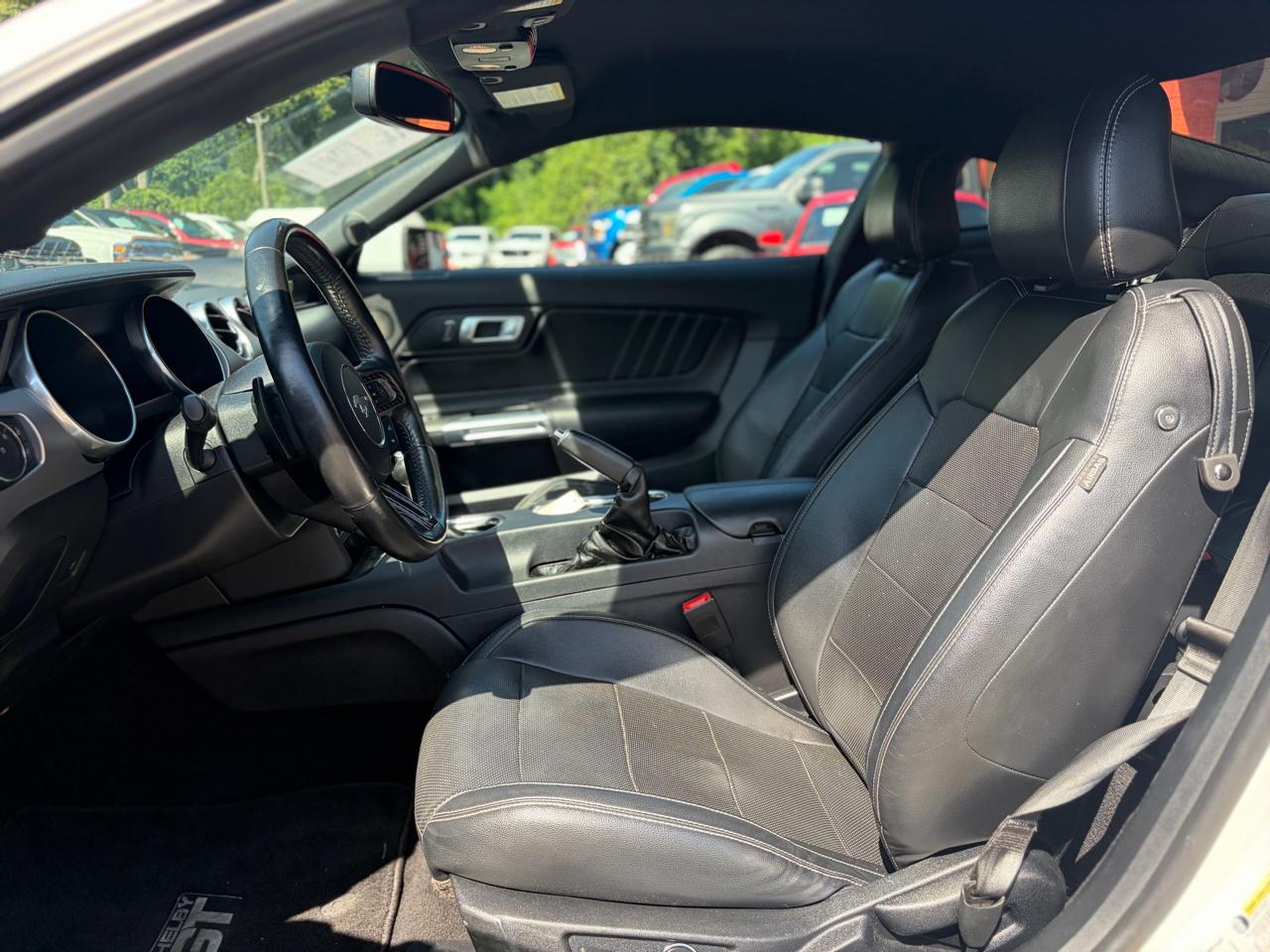Ford Mustang GT Fastback 2019
