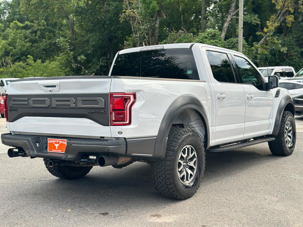 Ford F-150 Raptor 4WD SuperCrew 5.5' Box 2019