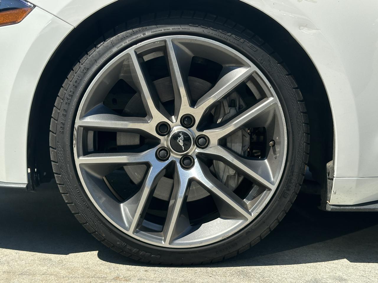 Ford Mustang GT Fastback 2019