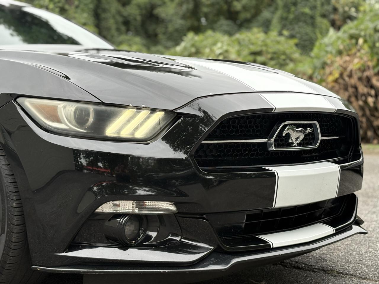 Ford Mustang 2dr Fastback GT 2015