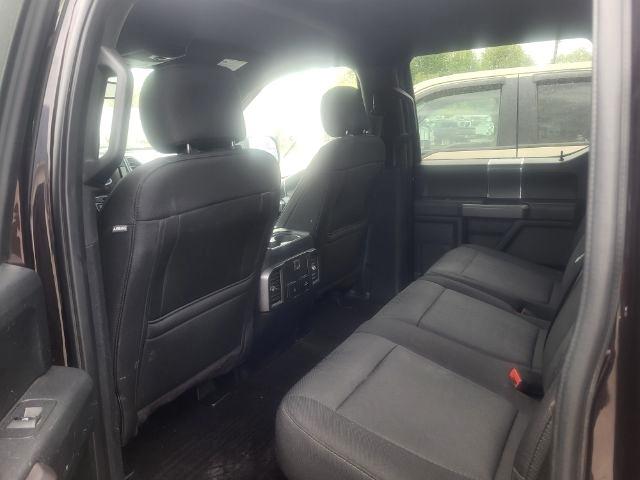 Ford F-150 XLT SuperCrew 6.5-ft. Bed 4WD 2020