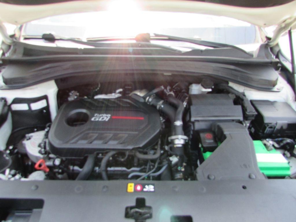 Hyundai Santa Fe Ultimate 2.0T Auto AWD 2019