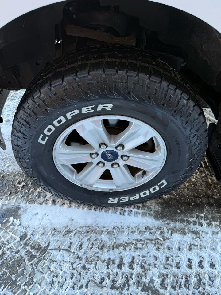 Ford F-150 4WD Reg Cab 122.5" XL 2016