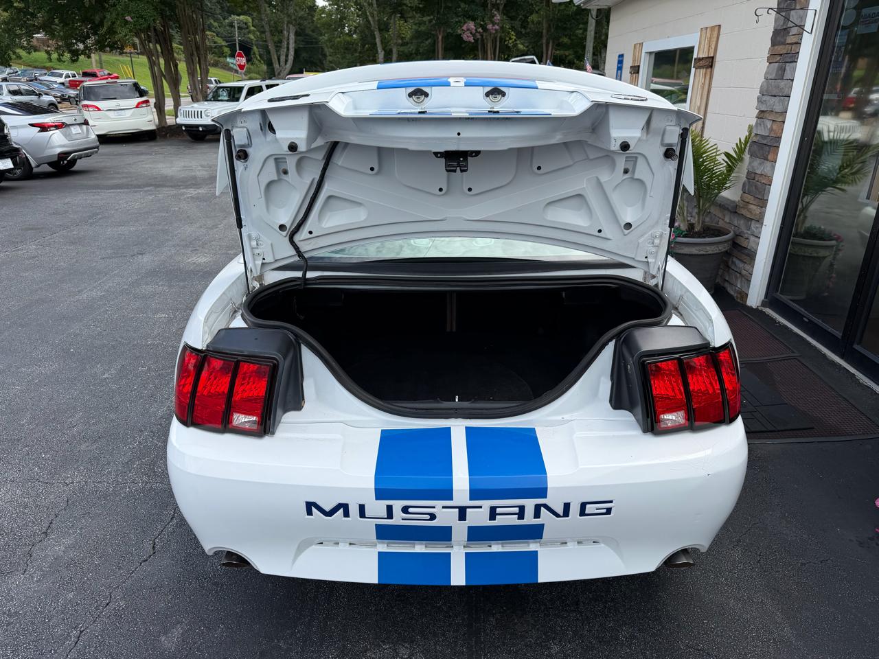 Ford Mustang GT Deluxe Coupe 2004