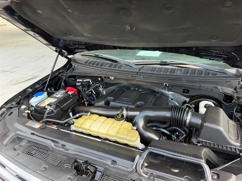 Ford Expedition  2019