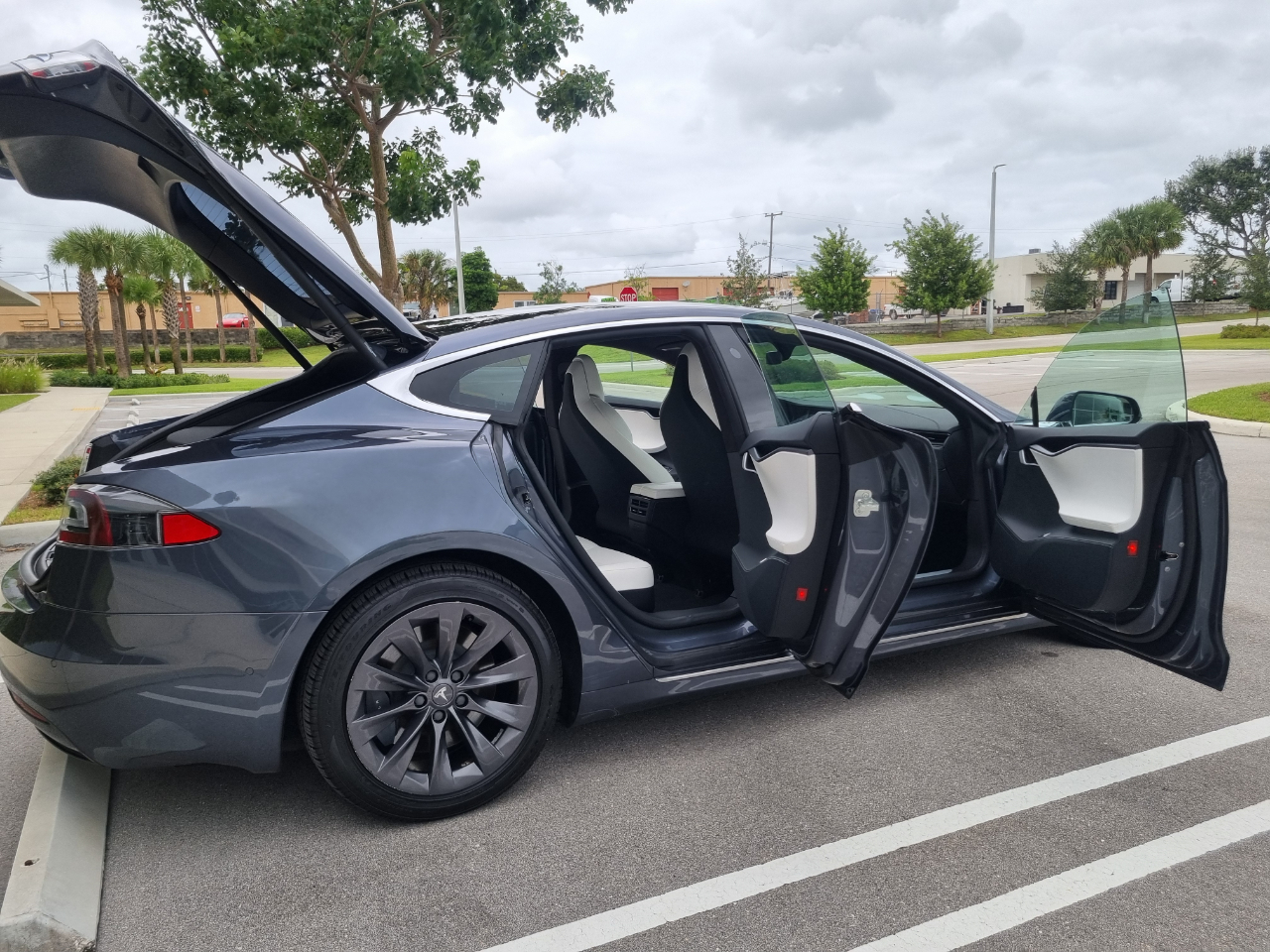 Tesla Model S Long Range 2020 Tesla Model S Long Range 2020