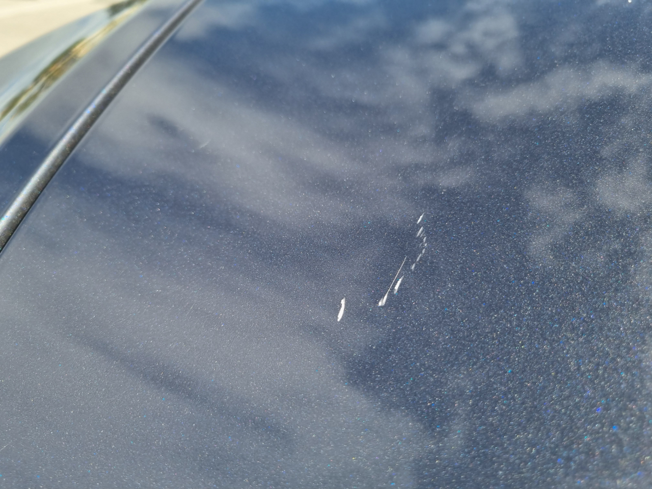 Tesla Model Y Performance 2021