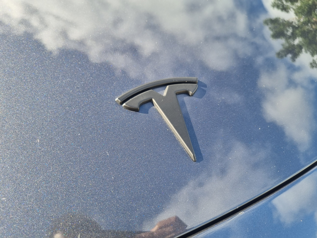 Tesla Model Y Performance 2021