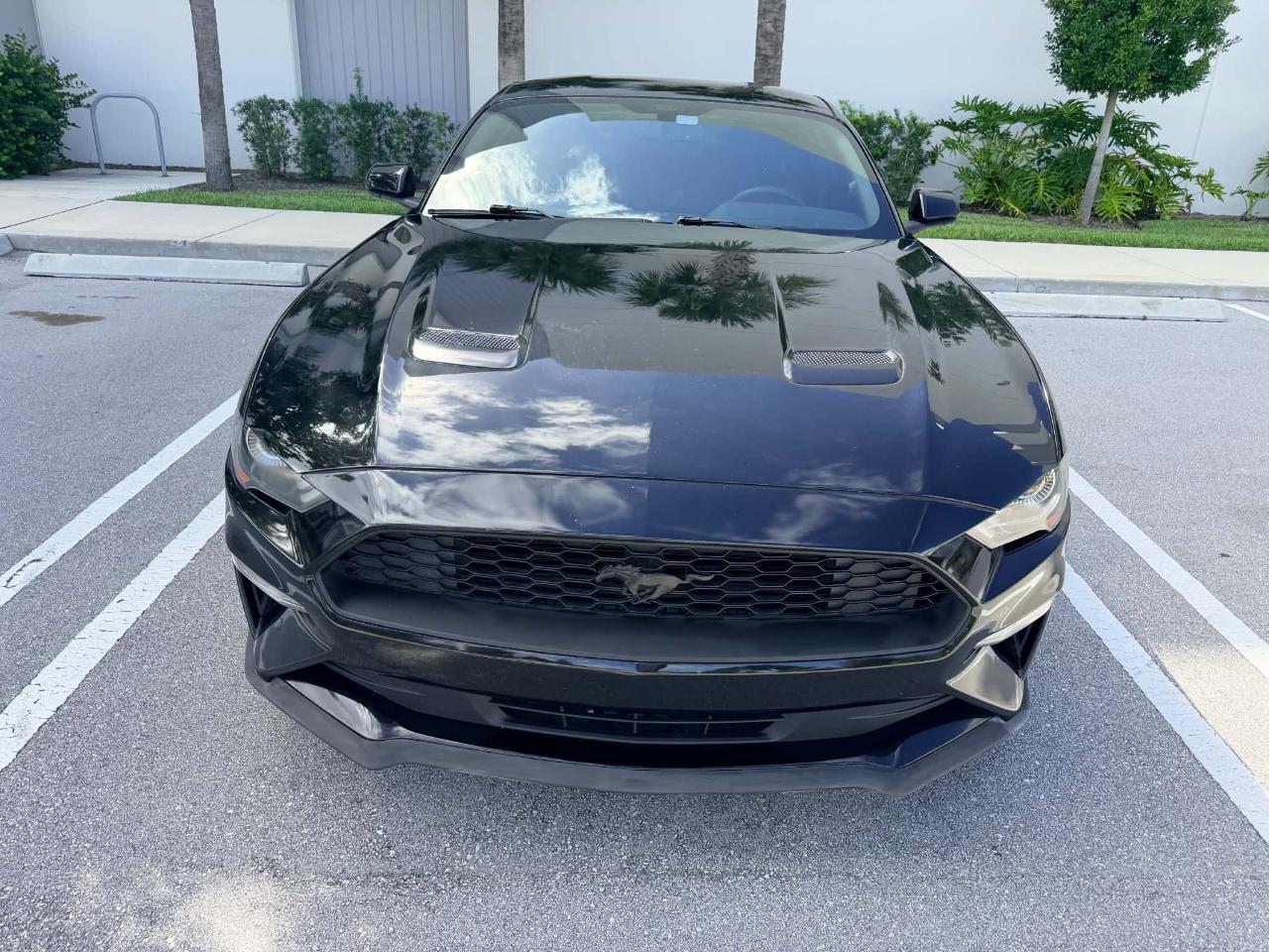 Ford Mustang EcoBoost Coupe 2019