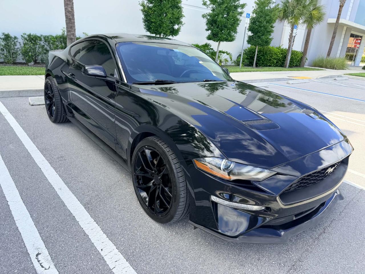 Ford Mustang EcoBoost Coupe 2019