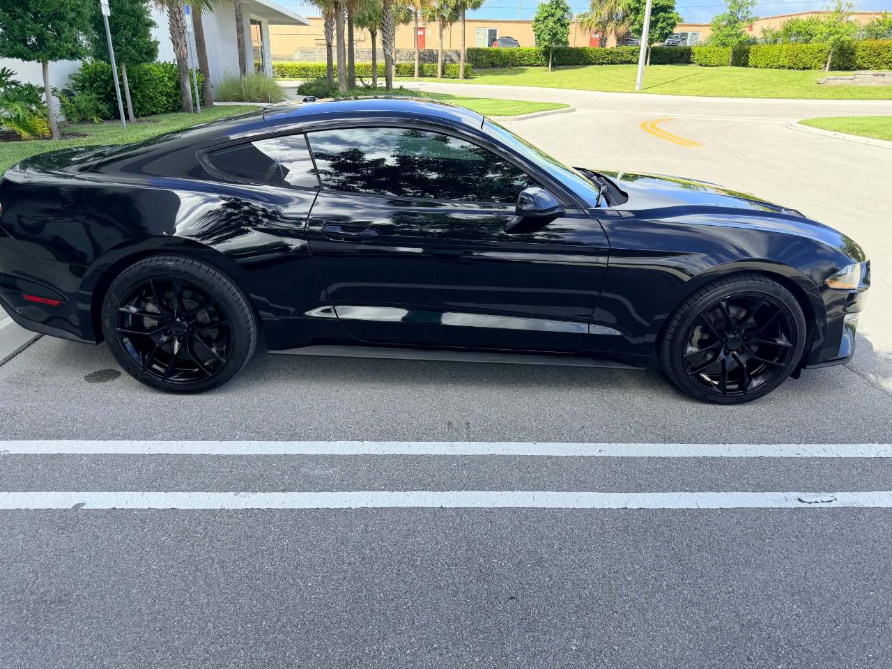 Ford Mustang EcoBoost Coupe 2019