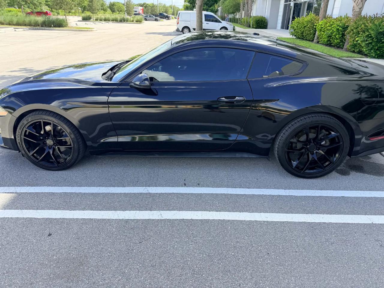 Ford Mustang EcoBoost Coupe 2019