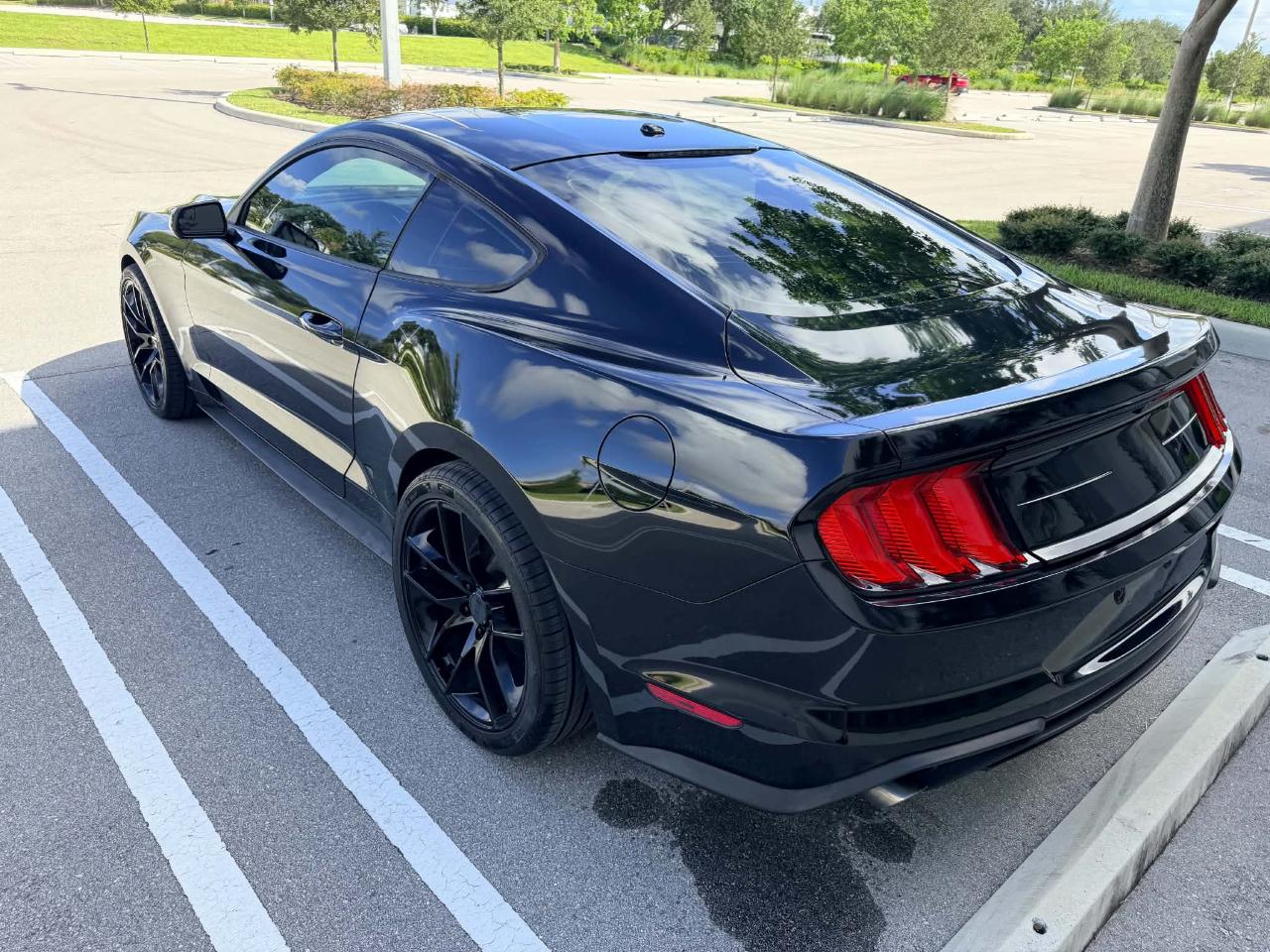 Ford Mustang EcoBoost Coupe 2019