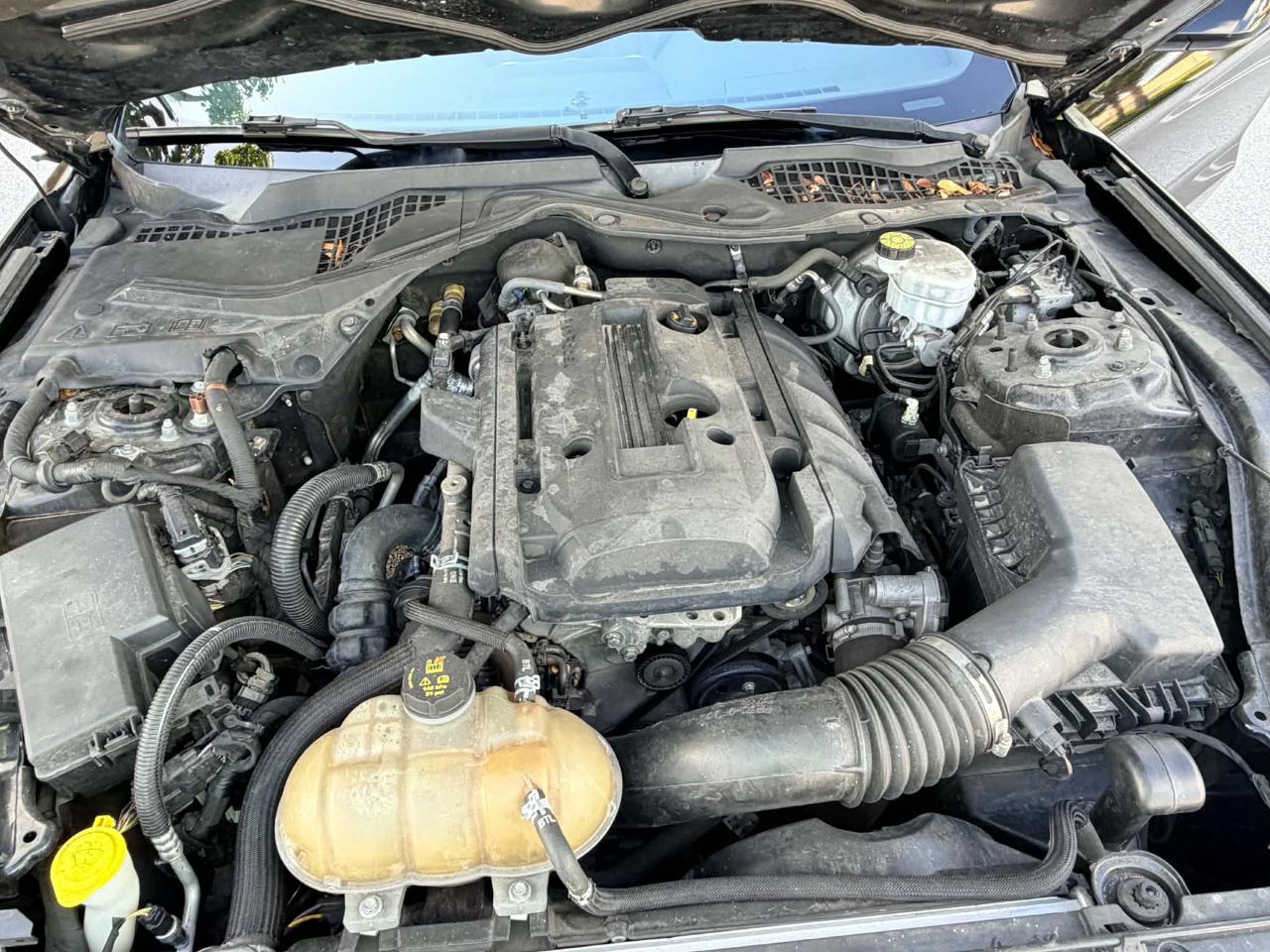 Ford Mustang EcoBoost Coupe 2019