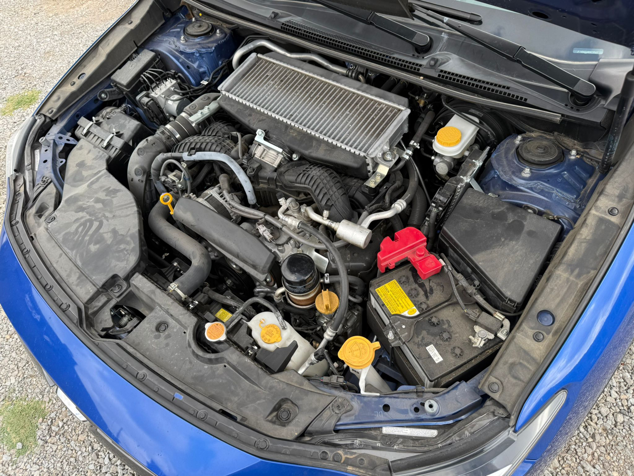 Subaru WRX Premium 6M 2022 Subaru WRX Premium 6M 2022