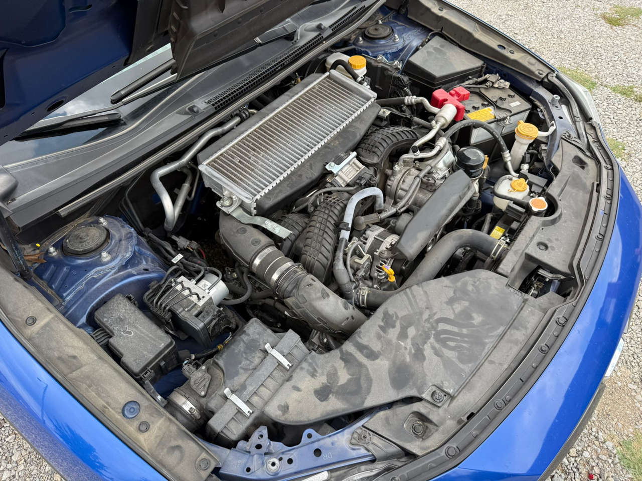 Subaru WRX Premium 6M 2022 Subaru WRX Premium 6M 2022