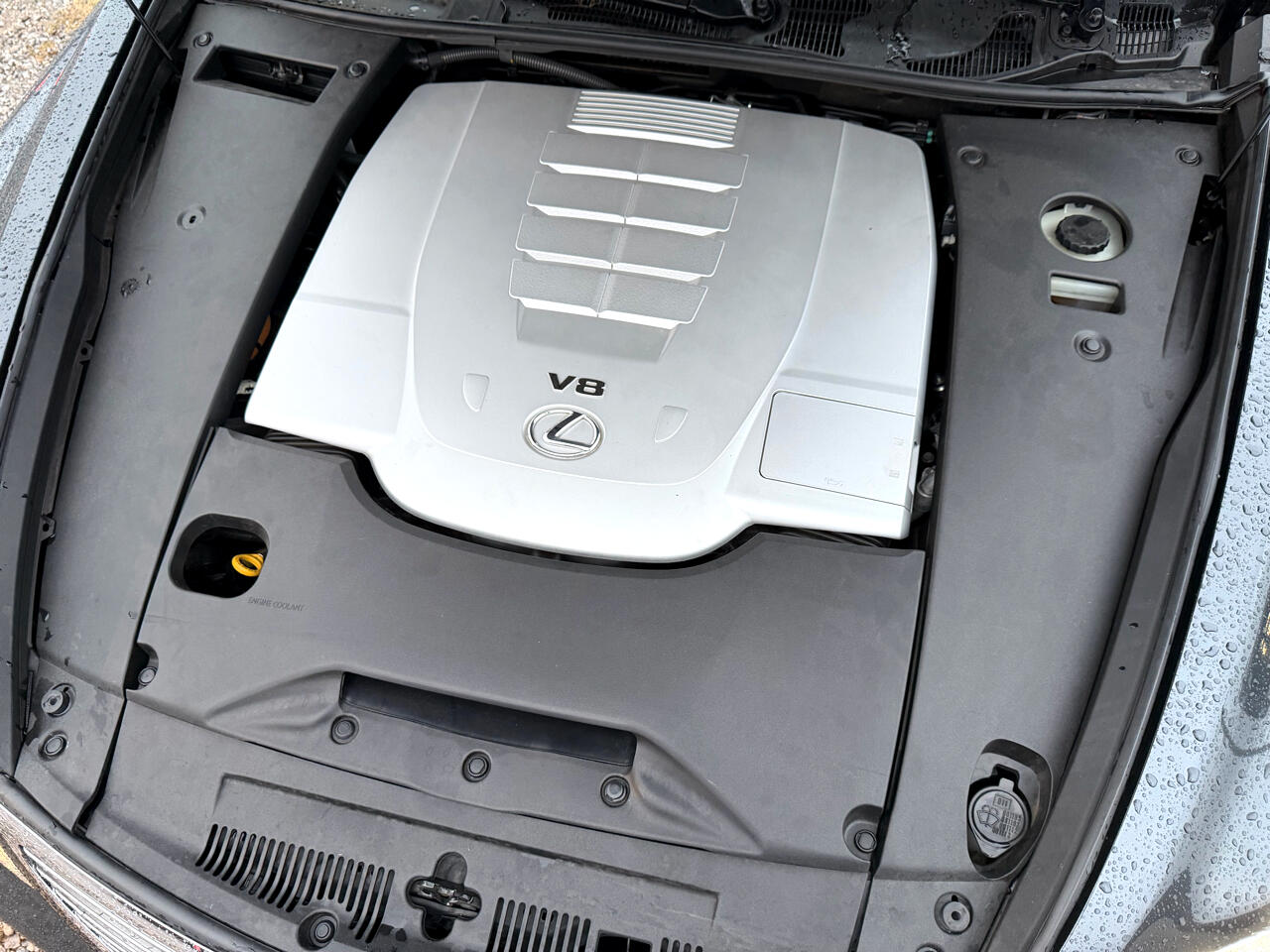 Lexus LS 460 Luxury Sedan 2008