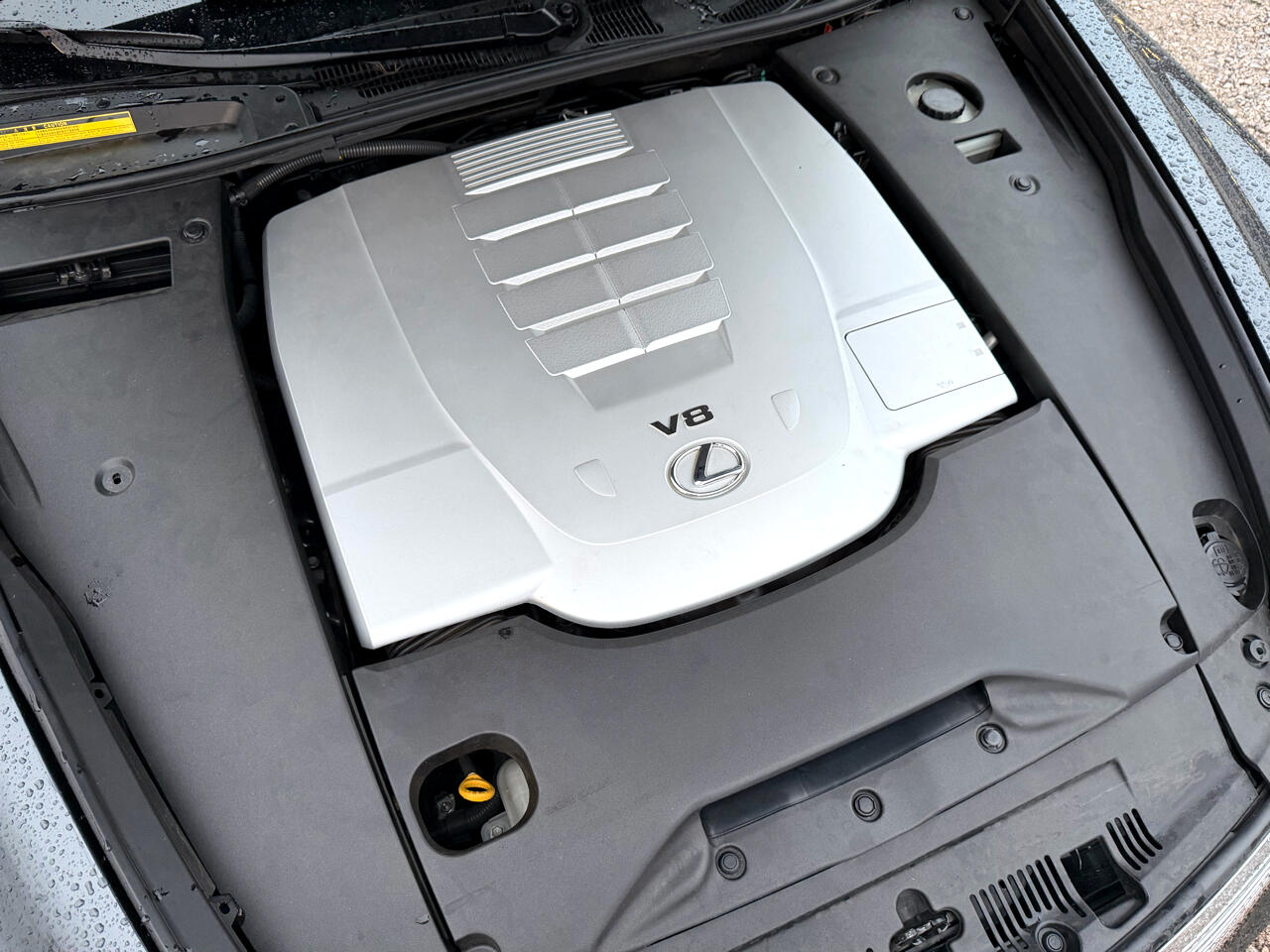 Lexus LS 460 Luxury Sedan 2008